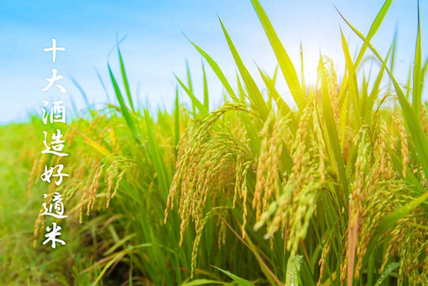 清酒十大酒造好適米，你知道幾多種？