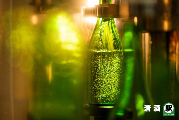 茨城縣清酒魅力：百年釀酒工藝與優質米的美妙交織