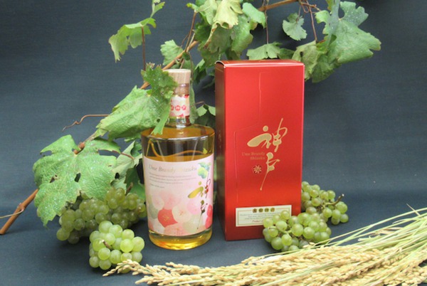 和洋大融合 集日本酒x梅酒x百蘭地於一身