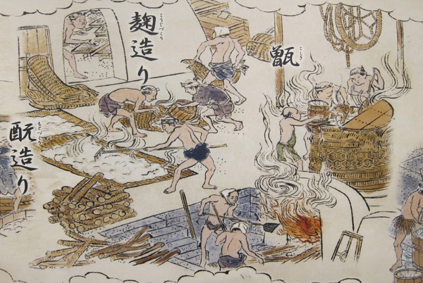 清酒生物工程 —「一麴、二酛、三釀造」